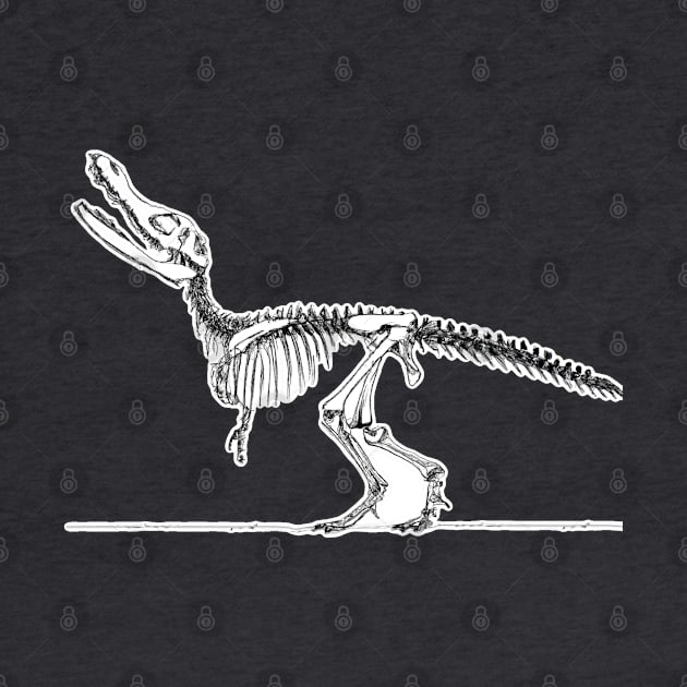 Sketch of a Museum Quality Dinosaur Skeleton Fossil by JoeHx